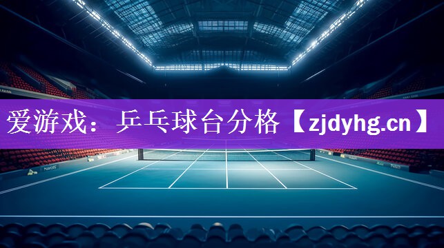 爱游戏：乒乓球台分格