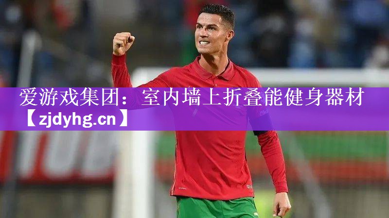 爱游戏集团：室内墙上折叠能健身器材