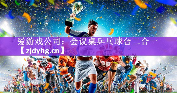 爱游戏公司：会议桌乒乓球台二合一