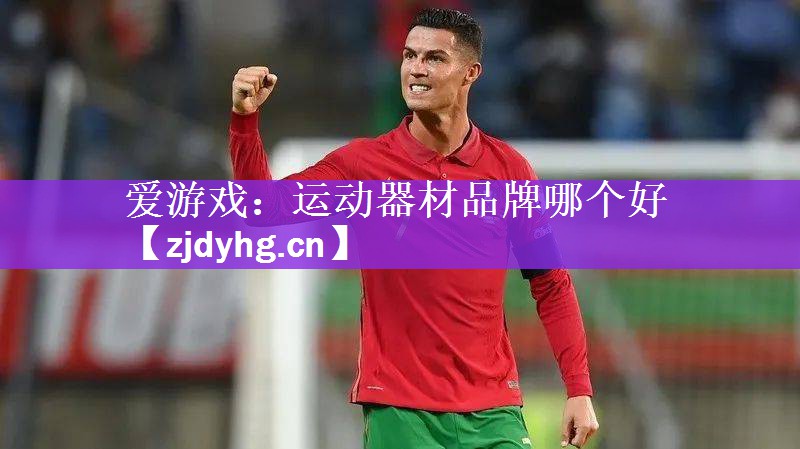 爱游戏：运动器材品牌哪个好
