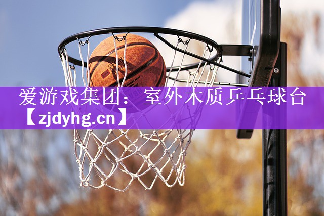 爱游戏集团：室外木质乒乓球台