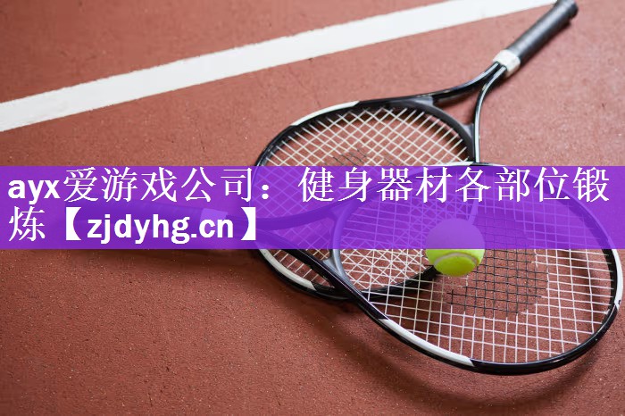 <strong>ayx爱游戏公司：健身器材各部位锻炼</strong>