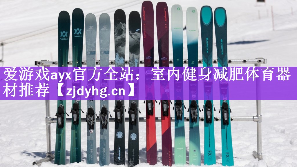 爱游戏ayx官方全站：室内健身减肥体育器材推荐