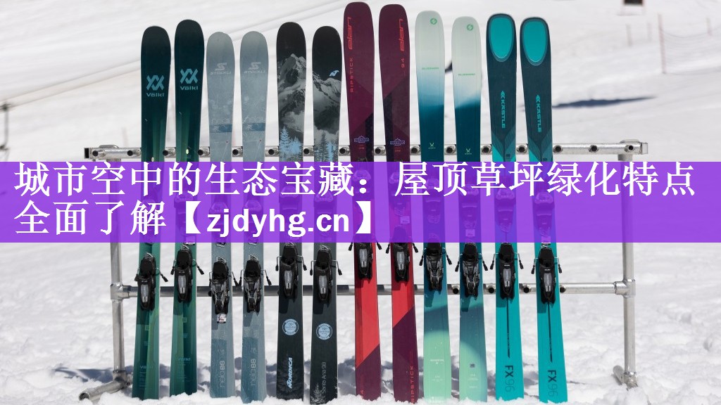 城市空中的生态宝藏：屋顶草坪绿化特点全面了解