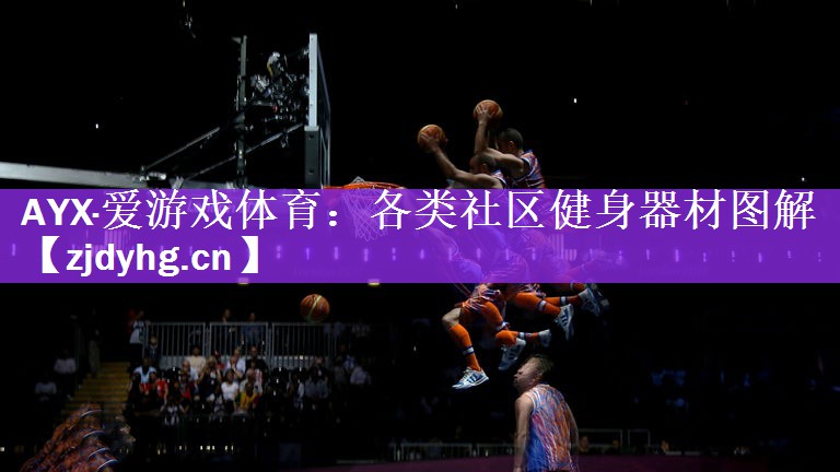 AYX·爱游戏体育：各类社区健身器材图解