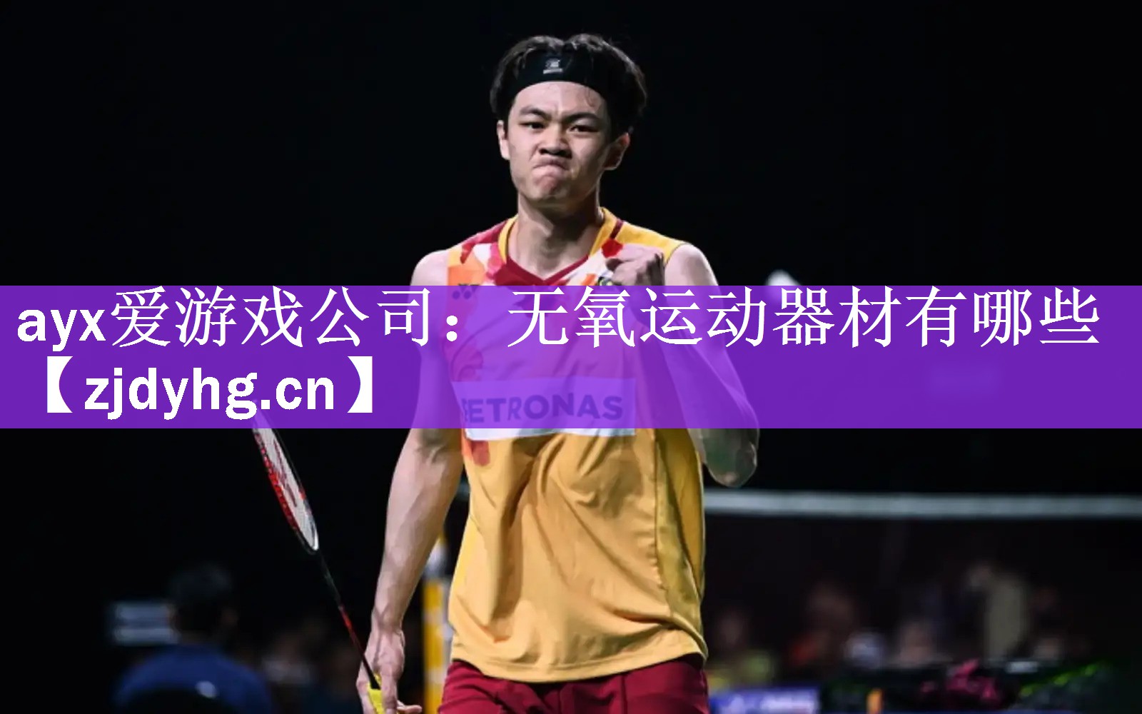 <strong>ayx爱游戏公司：无氧运动器材有哪些</strong>