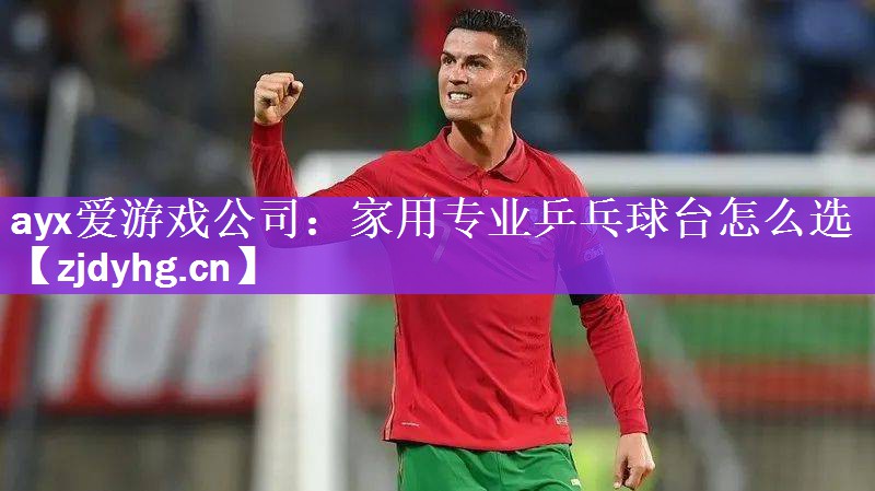 ayx爱游戏公司：家用专业乒乓球台怎么选