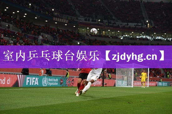 室内乒乓球台娱乐