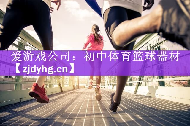爱游戏公司：初中体育篮球器材
