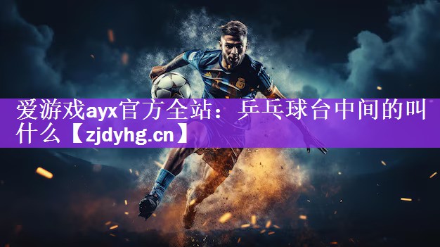 爱游戏ayx官方全站：乒乓球台中间的叫什么