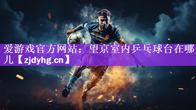 爱游戏官方网站：望京室内乒乓球台在哪儿