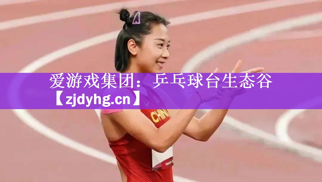 爱游戏集团：乒乓球台生态谷
