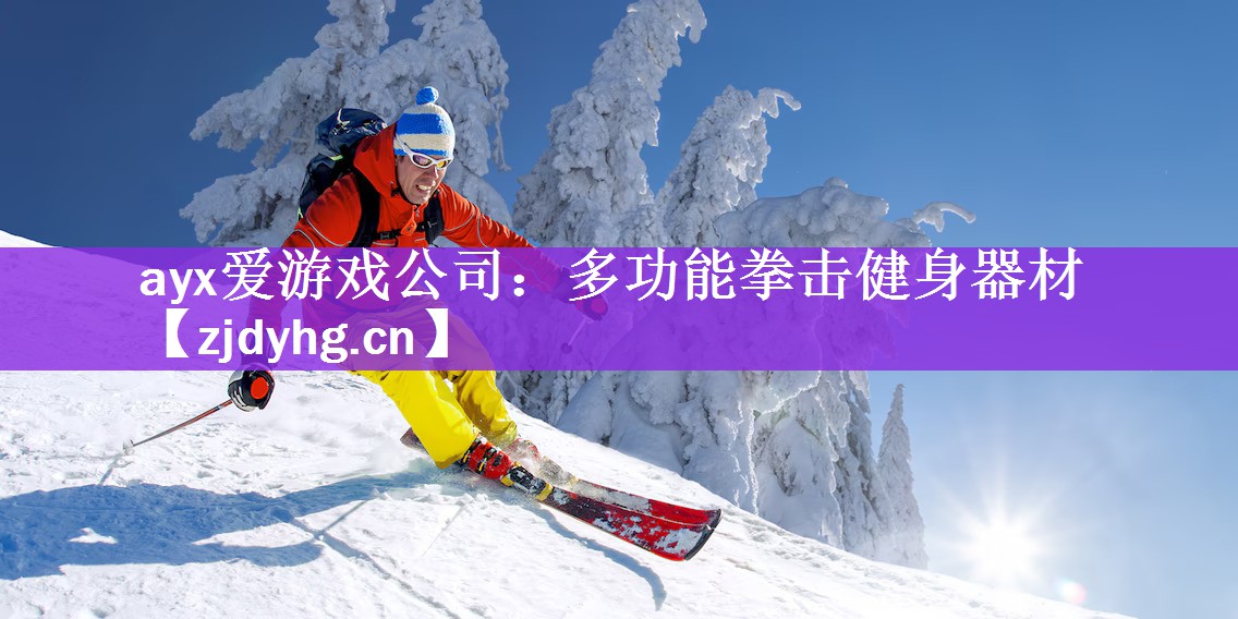 ayx爱游戏公司：多功能拳击健身器材