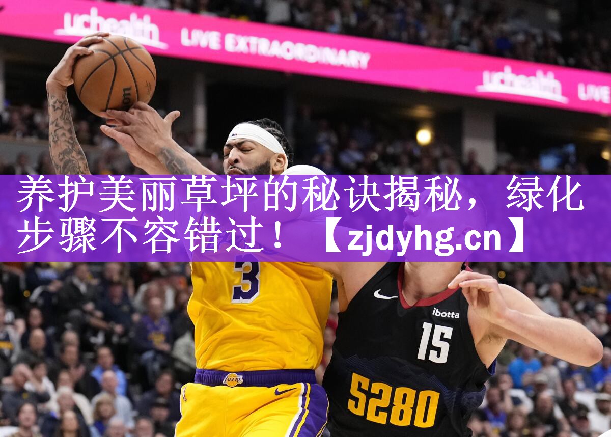 养护美丽草坪的秘诀揭秘，绿化步骤不容错过！