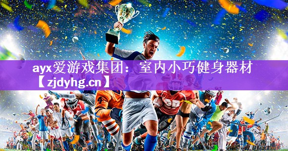 <strong>ayx爱游戏集团：室内小巧健身器材</strong>