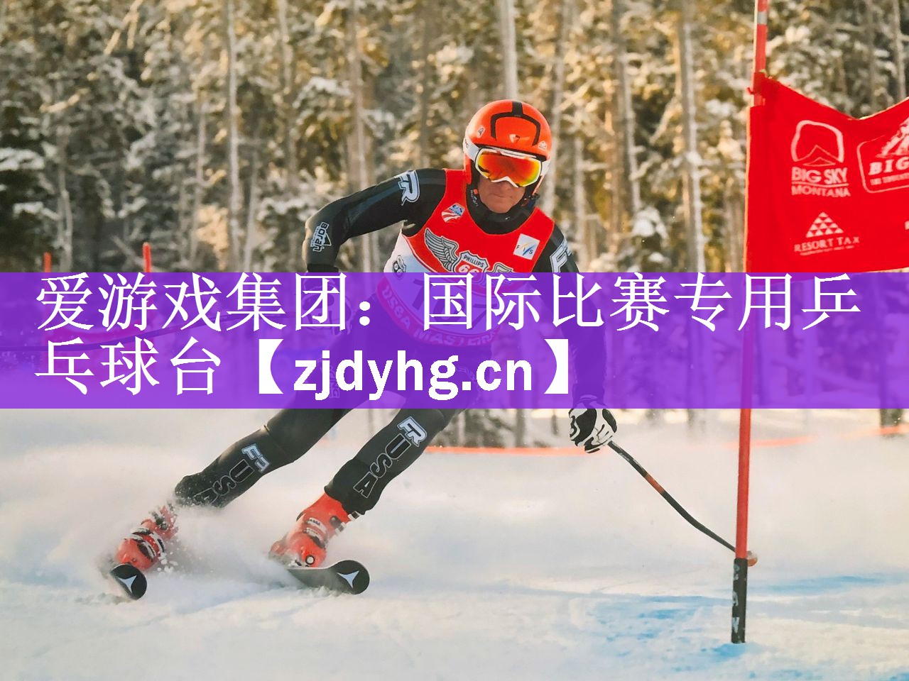 爱游戏集团：国际比赛专用乒乓球台