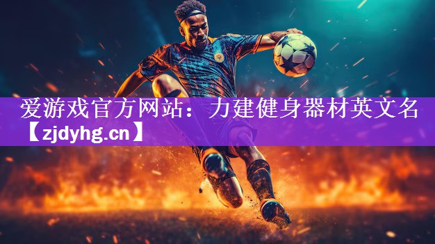 爱游戏官方网站：力建健身器材英文名