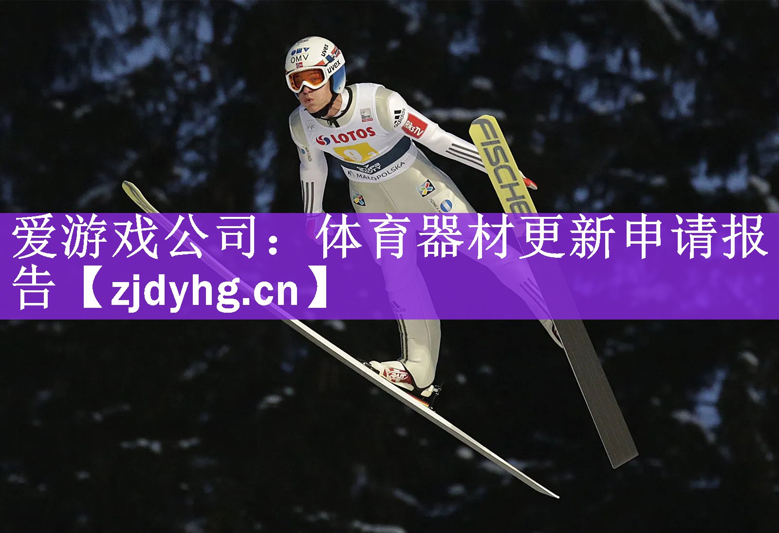 爱游戏公司：体育器材更新申请报告