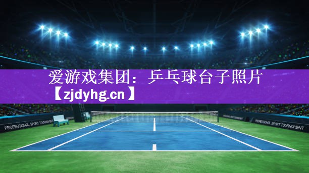 <strong>爱游戏集团：乒乓球台子照片</strong>