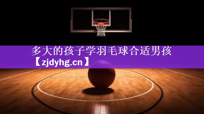 <strong>多大的孩子学羽毛球合适男孩</strong>