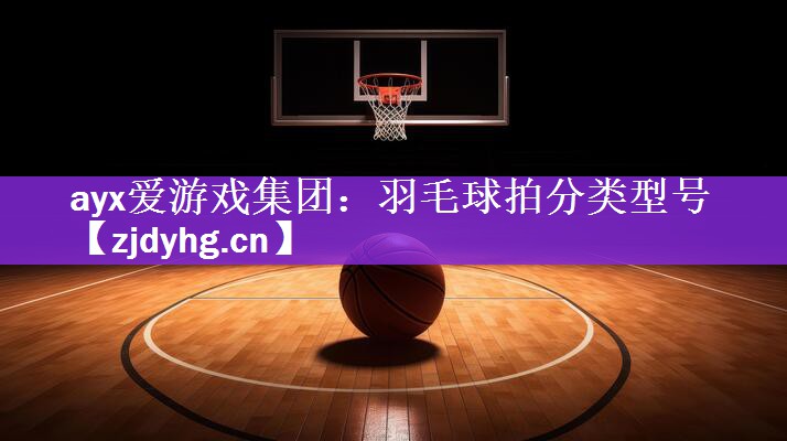 <strong>ayx爱游戏集团：羽毛球拍分类型号</strong>