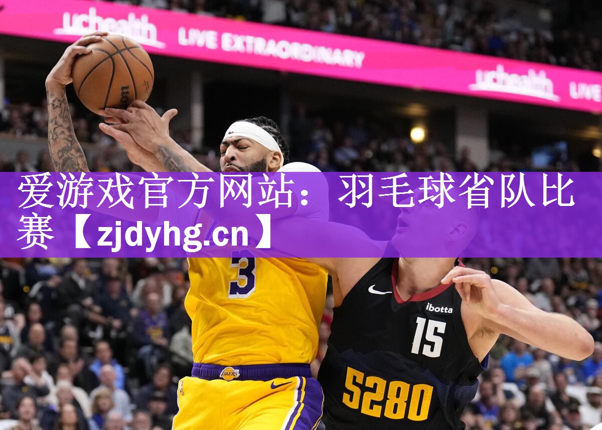 爱游戏官方网站：羽毛球省队比赛