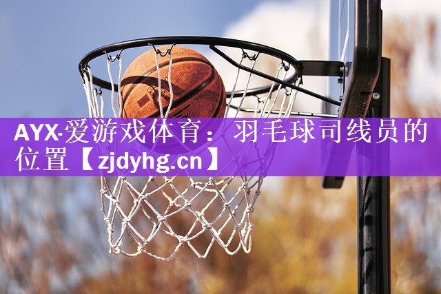AYX·爱游戏体育：羽毛球司线员的位置