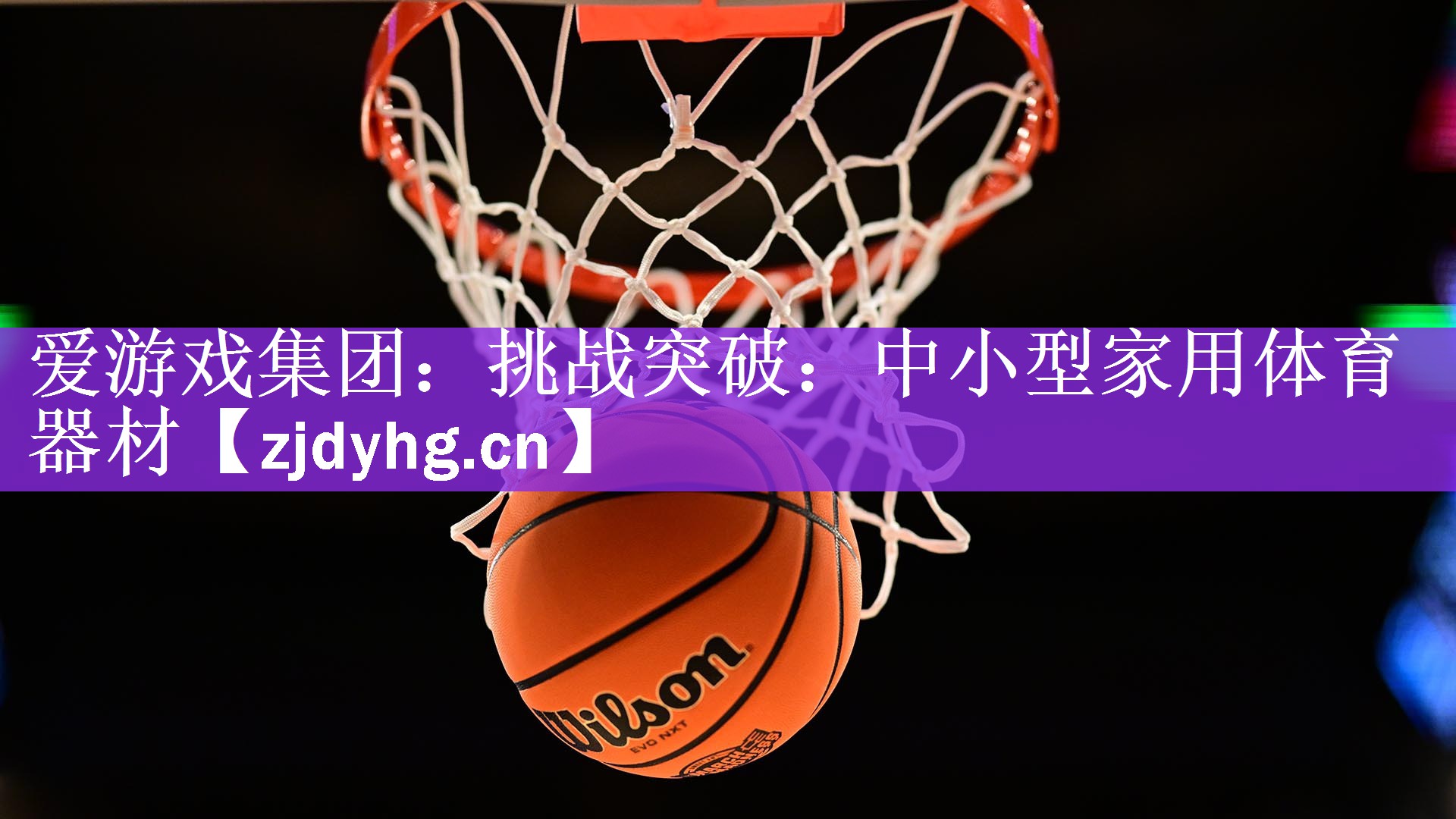 爱游戏集团：挑战突破：中小型家用体育器材