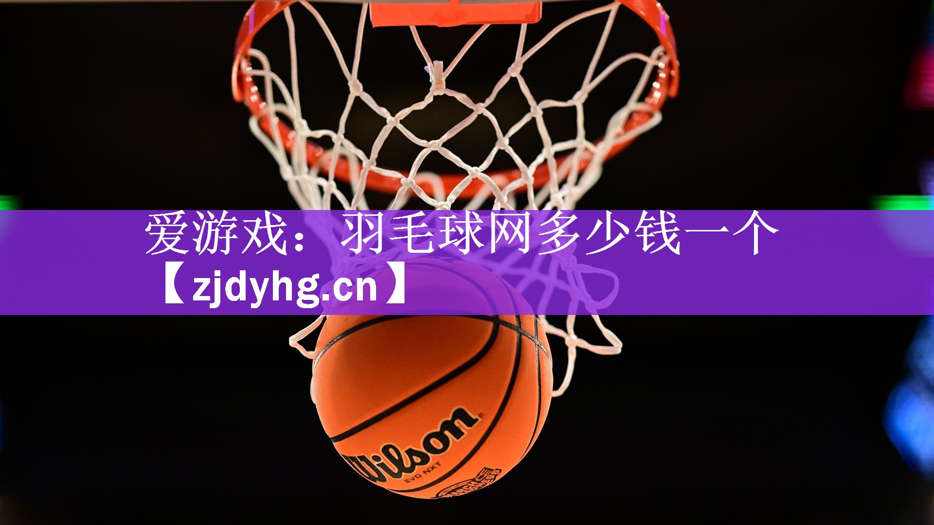 爱游戏：羽毛球网多少钱一个