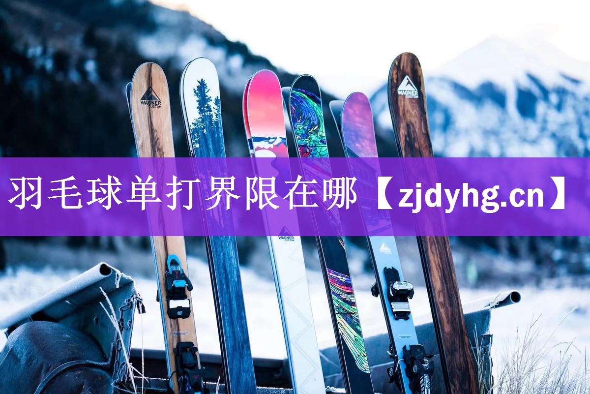 羽毛球单打界限在哪