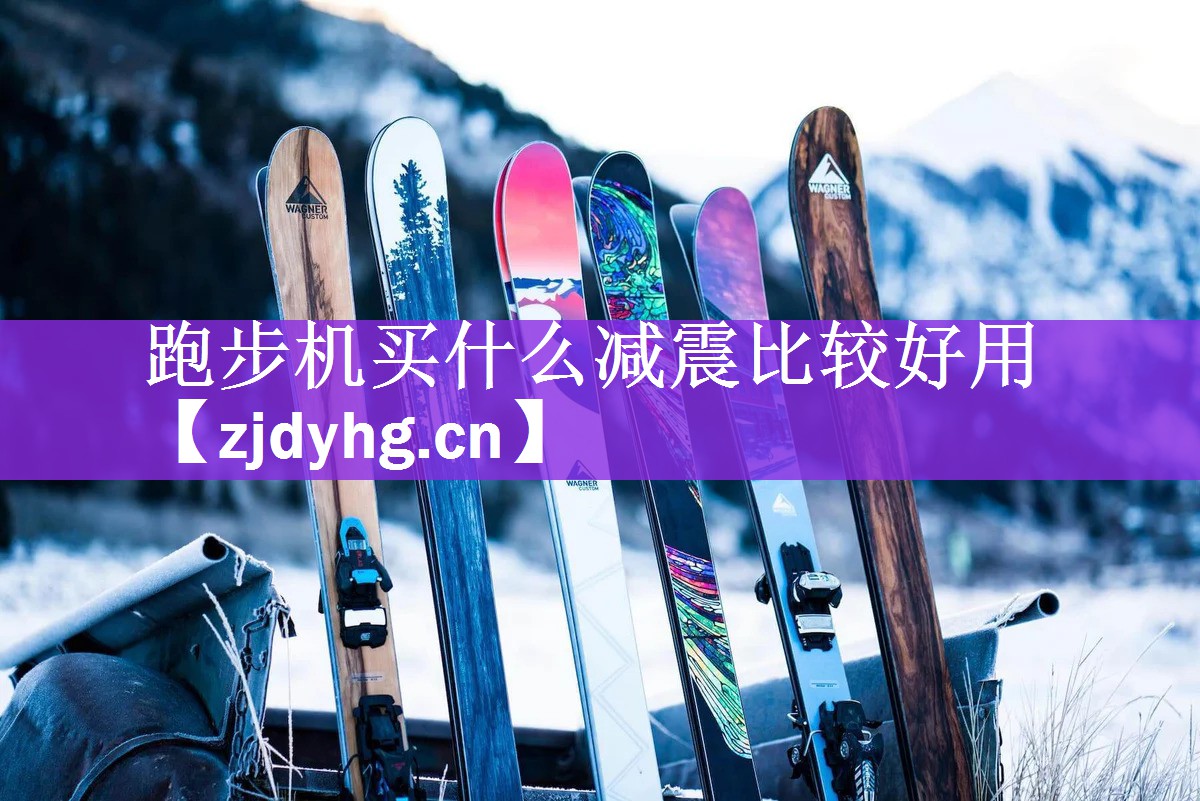 跑步机买什么减震比较好用