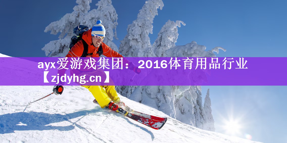 <strong>ayx爱游戏集团：2016体育用品行业</strong>