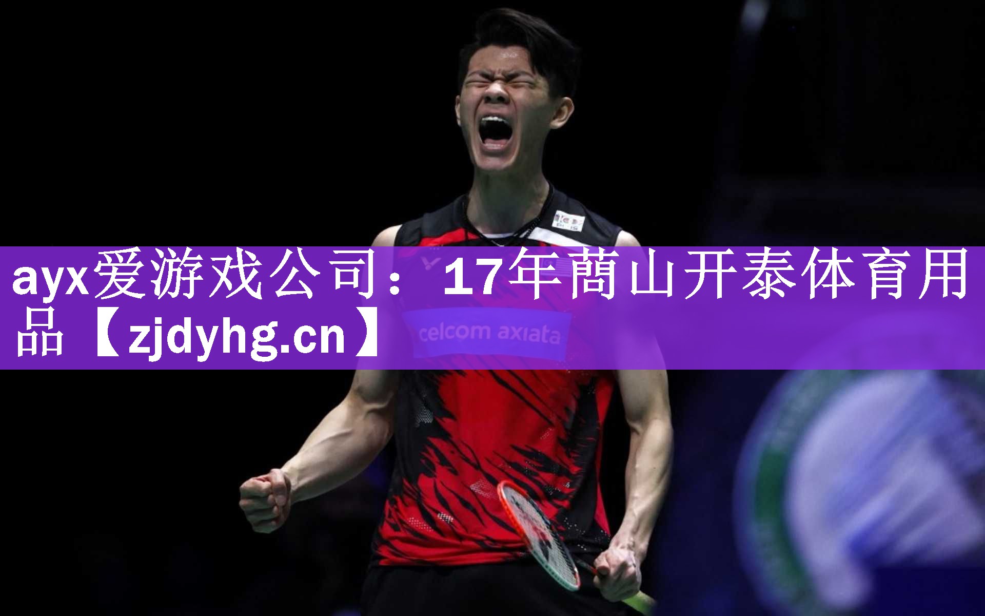 <strong>ayx爱游戏公司：17年蔄山开泰体育用品</strong>