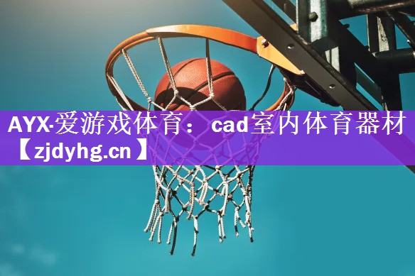 AYX·爱游戏体育：cad室内体育器材