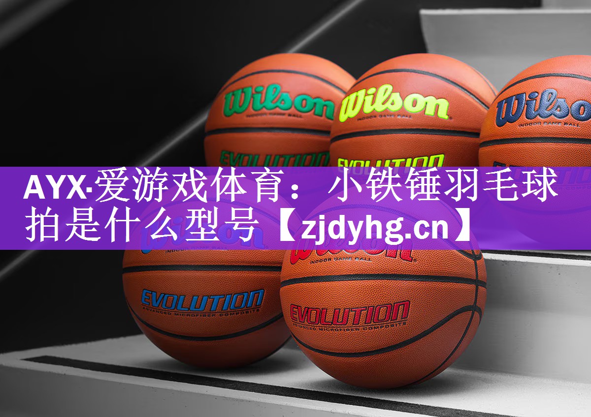 <strong>AYX·爱游戏体育：小铁锤羽毛球拍是什么型号</strong>