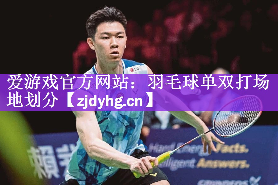 <strong>爱游戏官方网站：羽毛球单双打场地划分</strong>