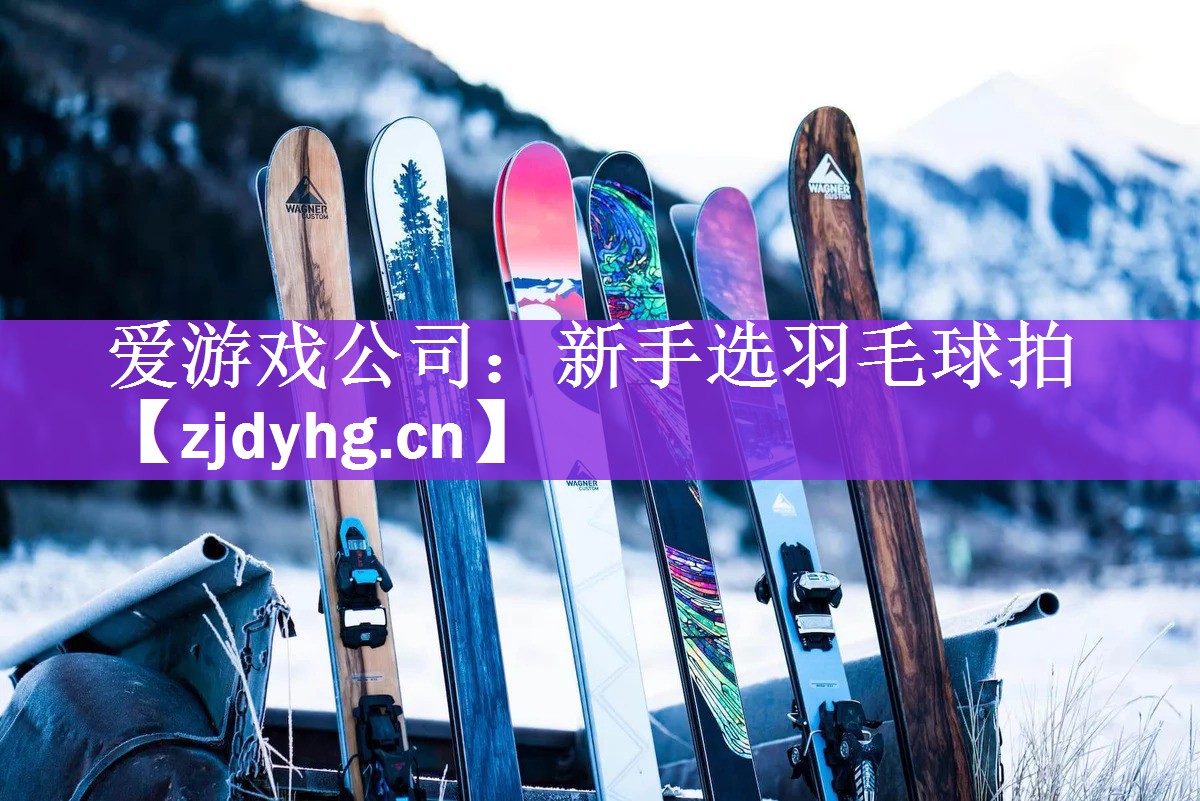 爱游戏公司：新手选羽毛球拍