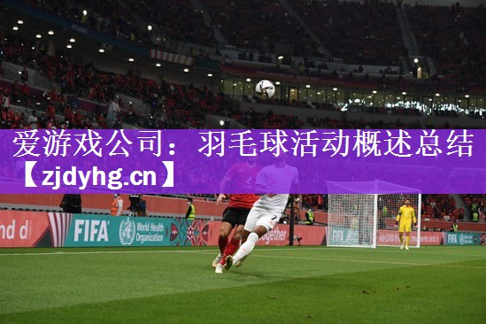 <strong>爱游戏公司：羽毛球活动概述总结</strong>