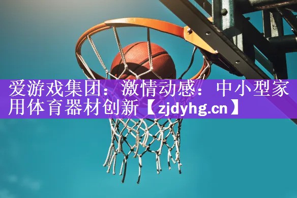 <strong>爱游戏集团：激情动感：中小型家用体育器材创新</strong>
