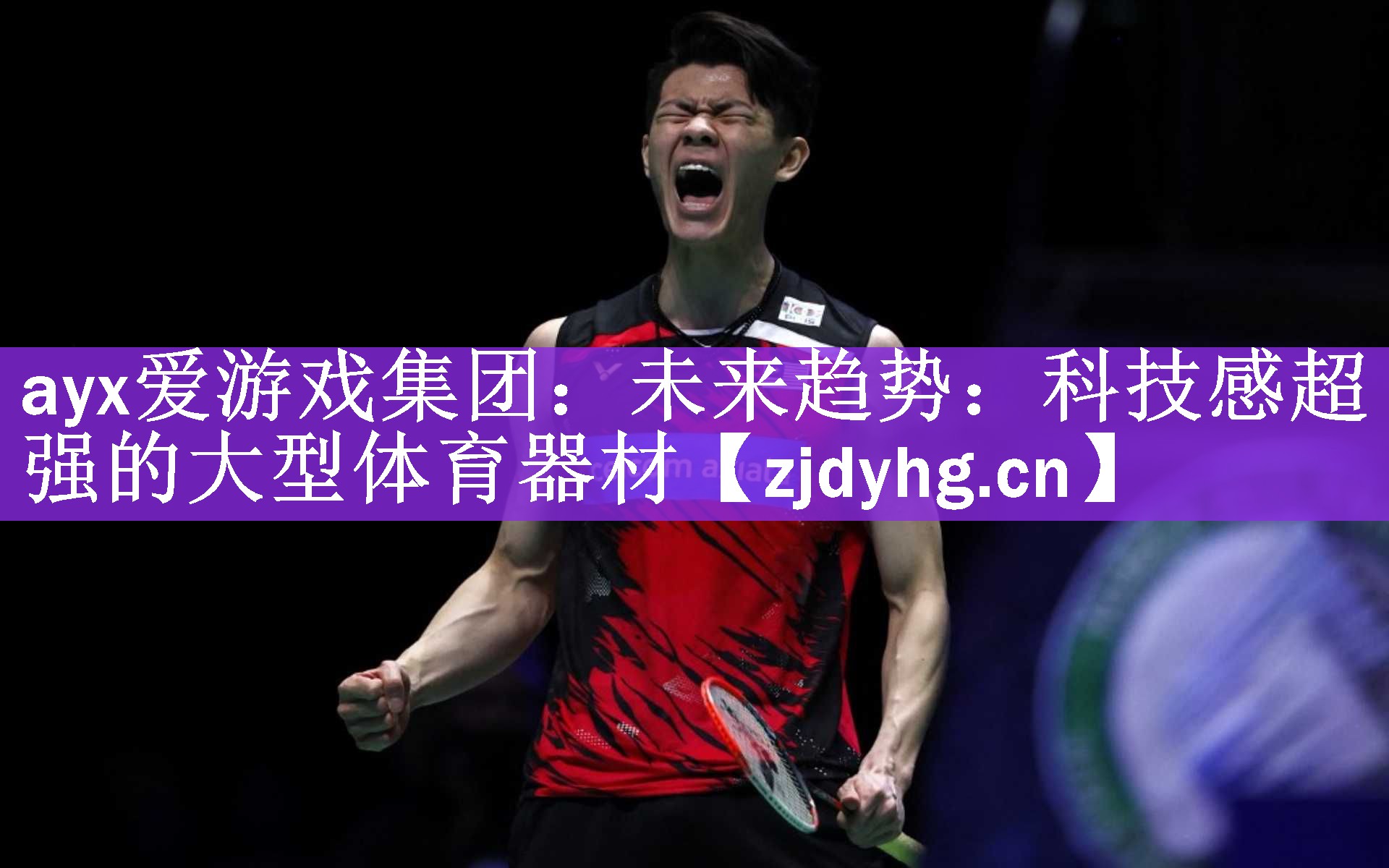 <strong>ayx爱游戏集团：未来趋势：科技感超强的大型体育器材</strong>