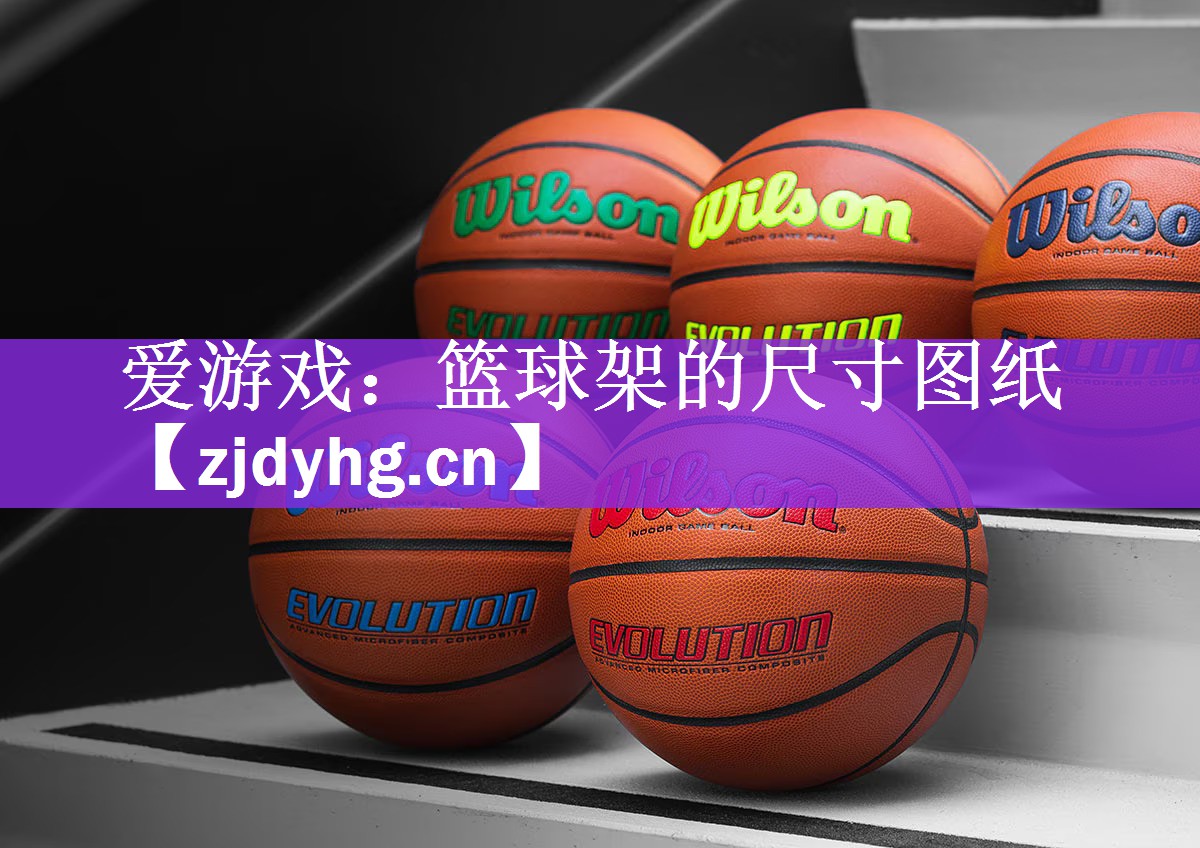 <strong>爱游戏：篮球架的尺寸图纸</strong>