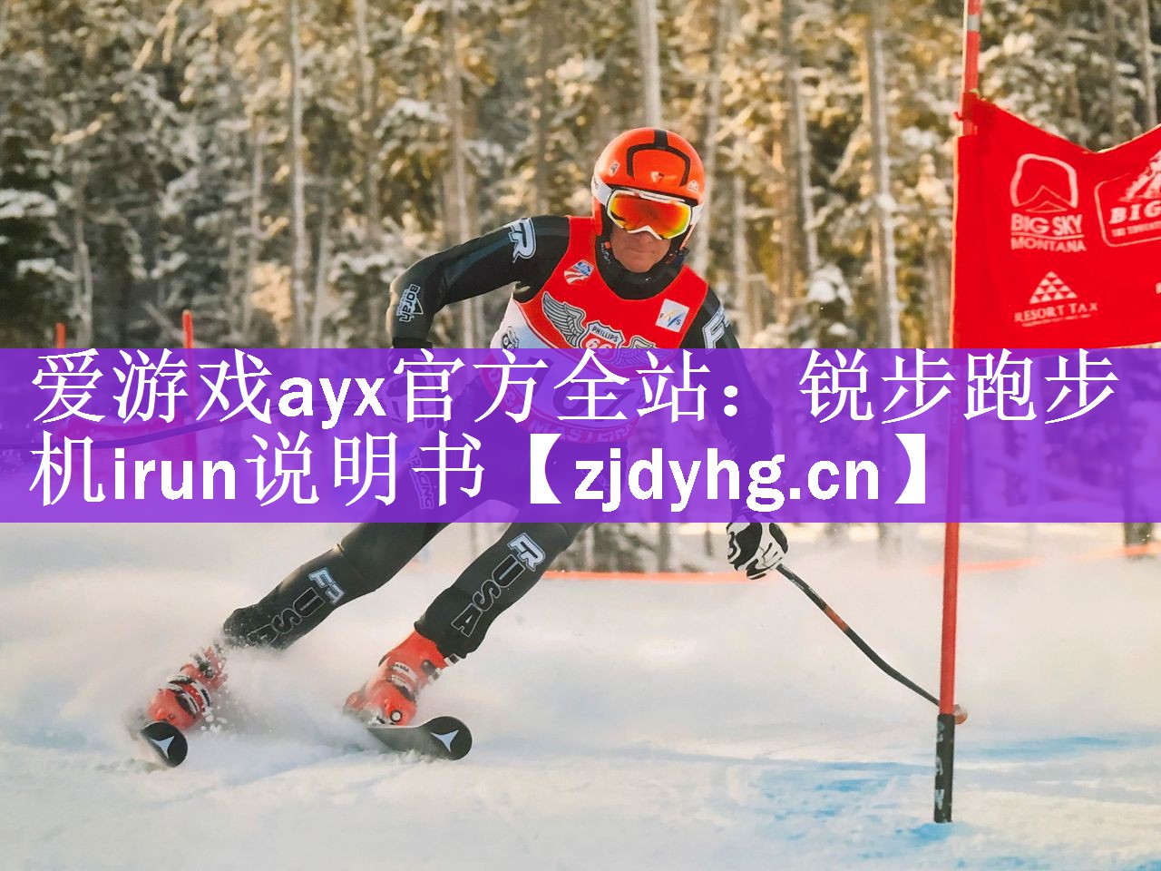爱游戏ayx官方全站：锐步跑步机irun说明书