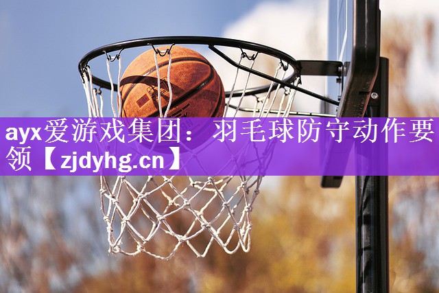 <strong>ayx爱游戏集团：羽毛球防守动作要领</strong>