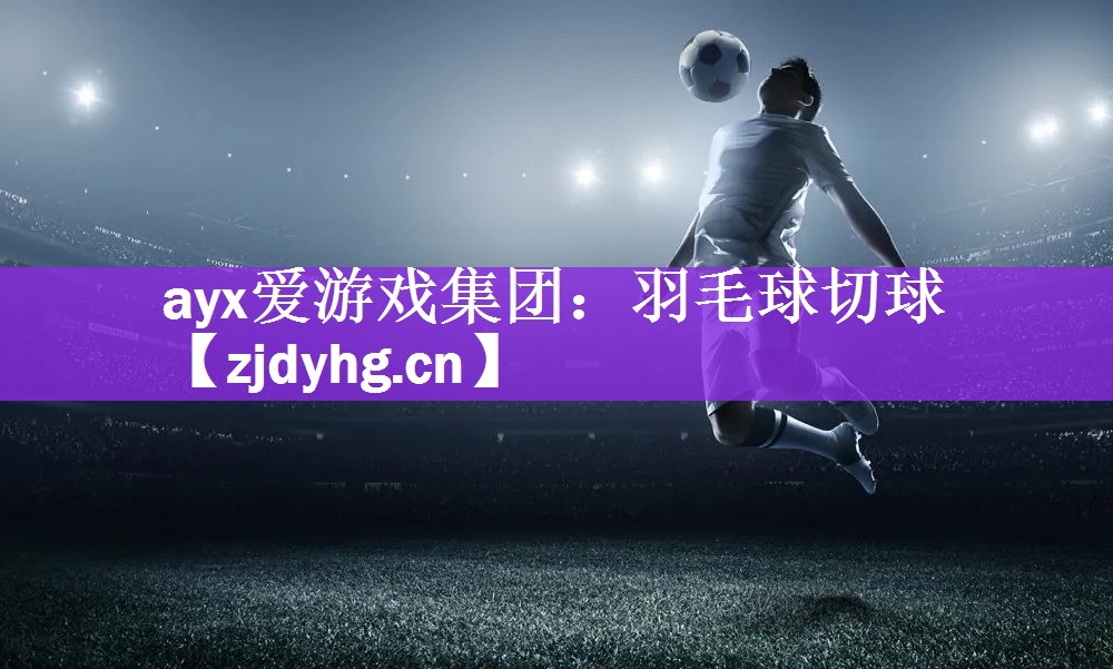 <strong>ayx爱游戏集团：羽毛球切球</strong>
