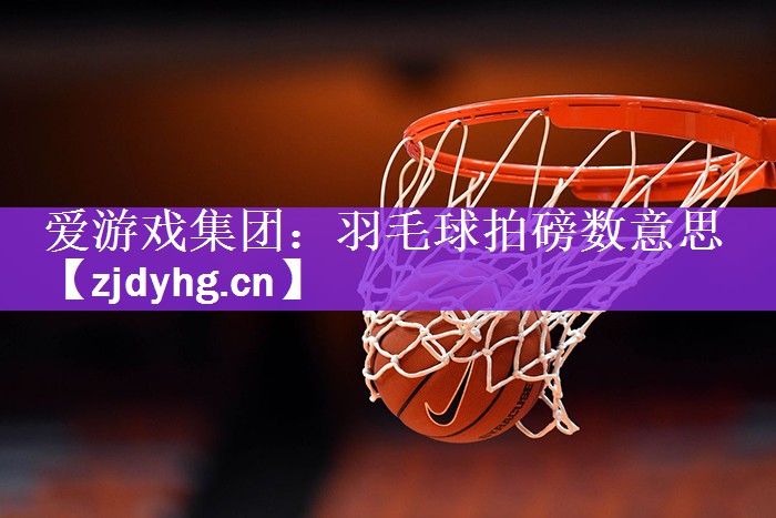 爱游戏集团：羽毛球拍磅数意思