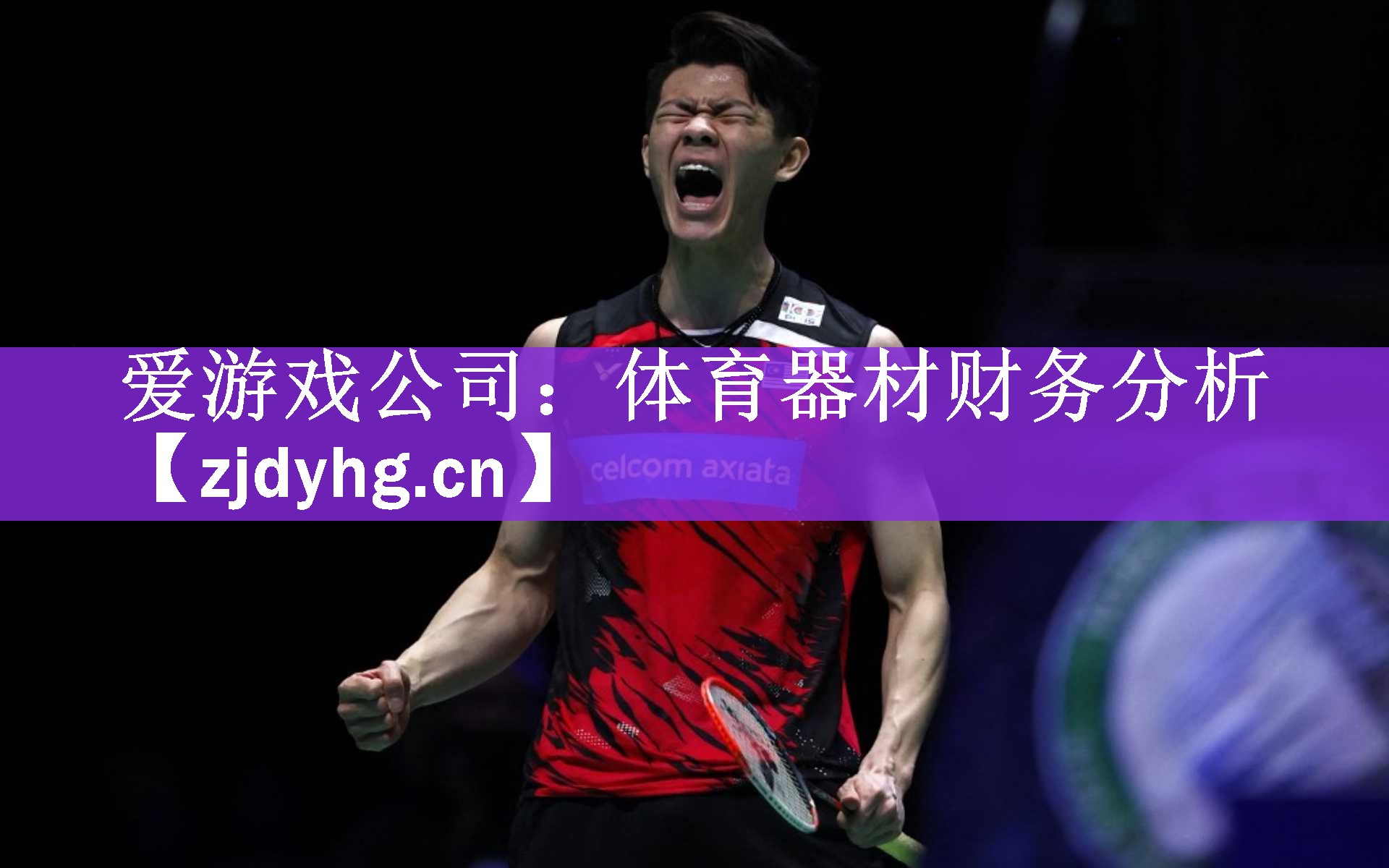 <strong>爱游戏公司：体育器材财务分析</strong>