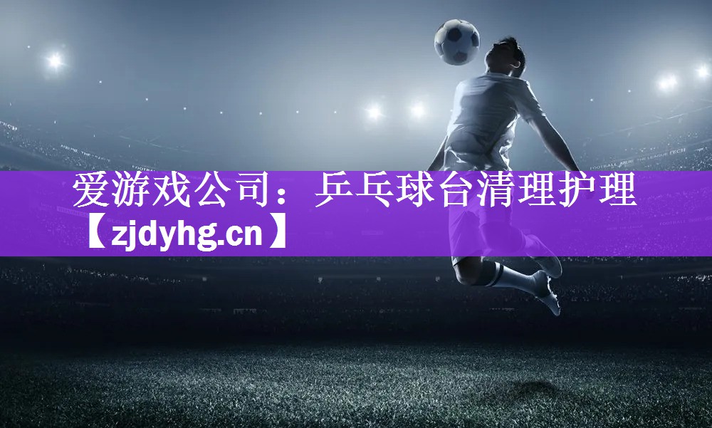 乒乓球台清理护理