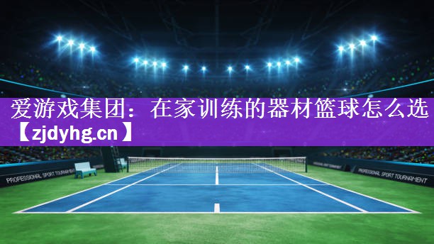 在家训练的器材篮球怎么选