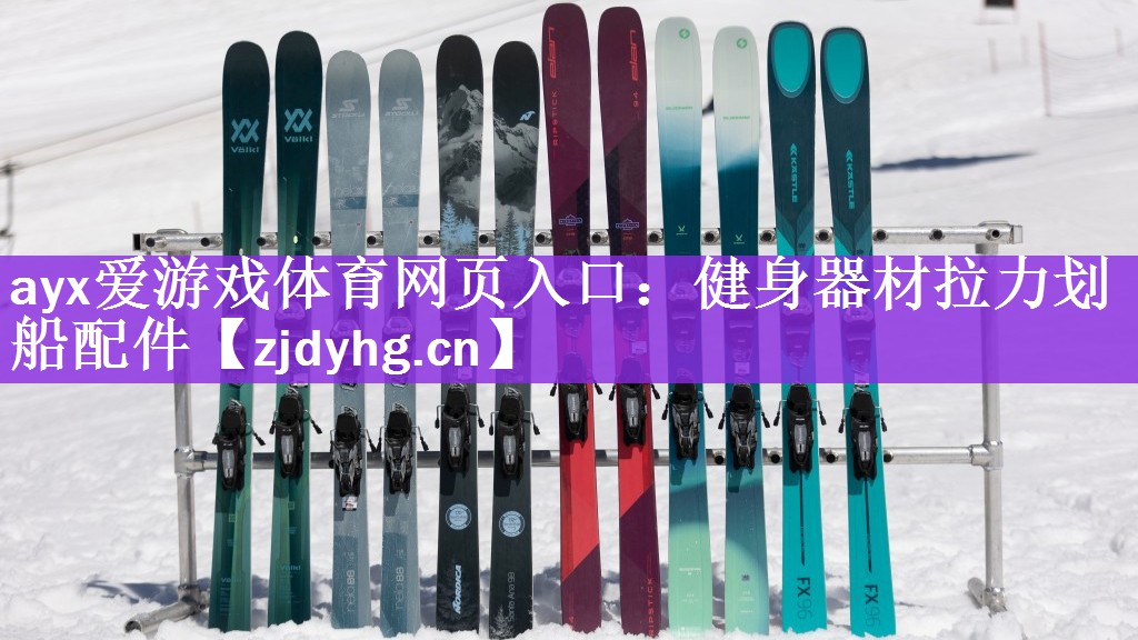 健身器材拉力划船配件