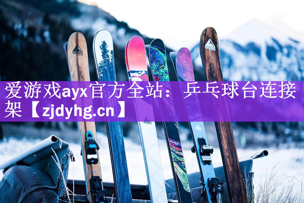 乒乓球台连接架